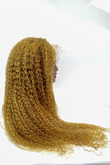 15A Grade Bohemian Curly Blonde 27 | 13x4 Super Natural Hairline Lace Frontal Wig | 100% Human Hair 180% Density