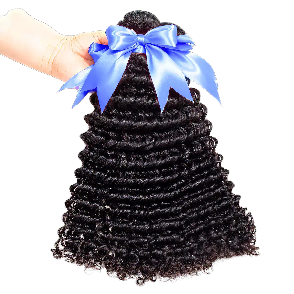 Hand holding curly human hair bundles with blue bow, premium quality for natural styling