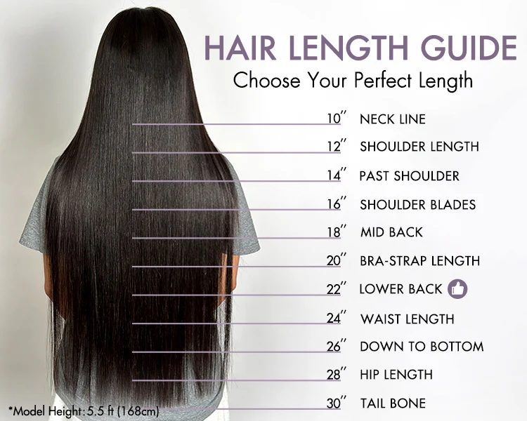 Vera Dolls 180% Density | 13x4 Highlight Straight Frontal HD Lace Wig                                            Glueless Free Part Long Wig 100% Human Hair - Premium  from Vera Dolls - Just $149.99! Shop now at VeraDolls